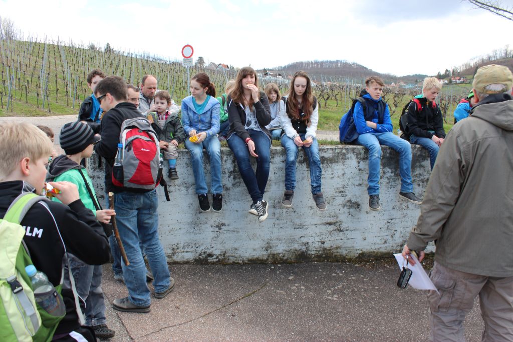 2013 Breitenauer See